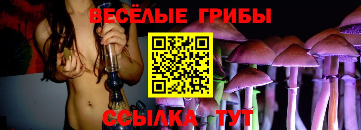 Псилоцибиновые грибы прущие грибы Таганрог
